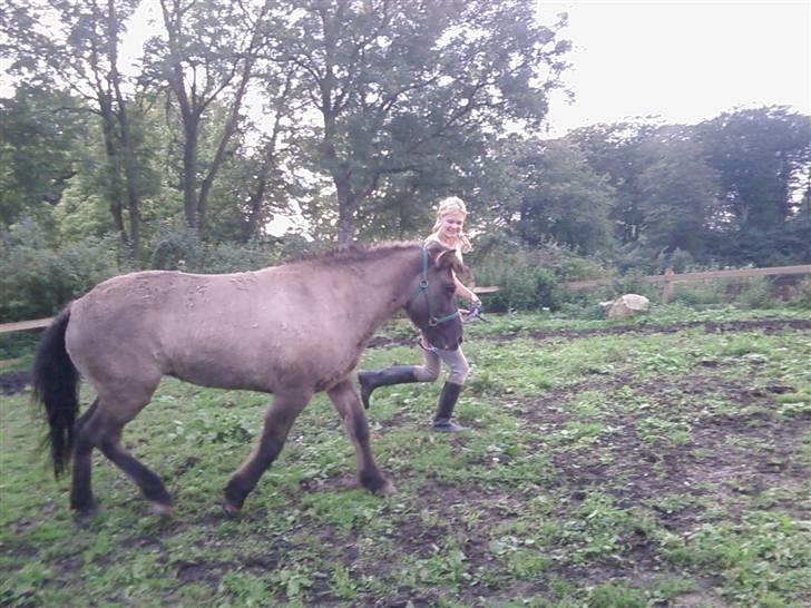 Islænder Urdúr<3 - Vi får lige lidt motion billede 16