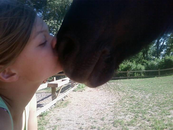 Islænder Sliepnir<3 R.I.P :'( - Mysser med slippy billede 9