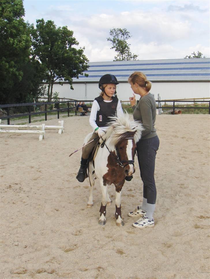 Shetlænder *Solsikke R.I.P* - Karoline snakker med Christina som er hendes træner foto:min mor  billede 12