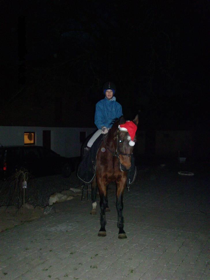 Anden særlig race Bonnie - jule hygge<3 billede 9