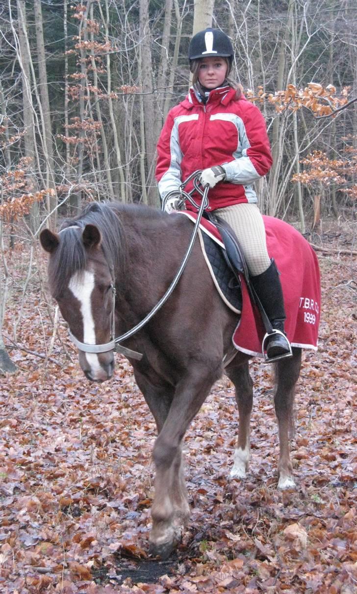 Anden særlig race Beauty Butterfly (LÅNTE) - Bumle-trumle og jeg i skoven :b Havde glemt trensen der hjemme, så red bare med grime og tov - og det syntes hun var hyggeligt! :D billede 5