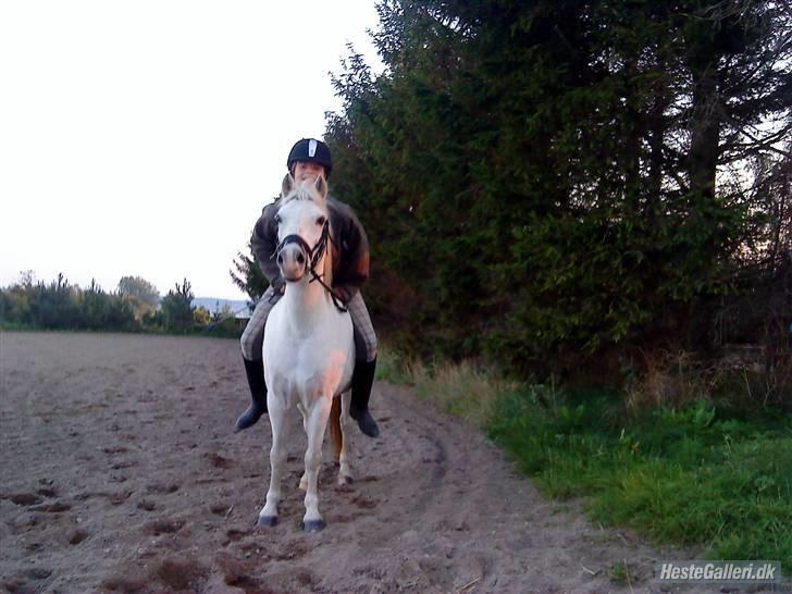 Anden særlig race Stardust - The Best Team xD´ <3 billede 16