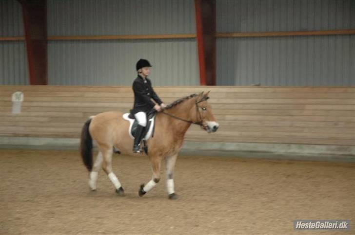 Anden særlig race Bleiki ii; <3  billede 15