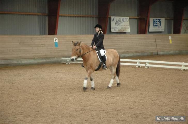 Anden særlig race Bleiki ii; <3  billede 16