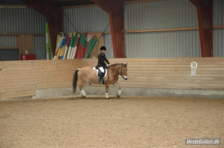 Anden særlig race Bleiki ii; <3  billede 17