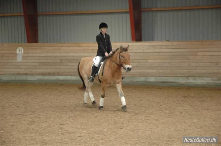 Anden særlig race Bleiki ii; <3  billede 18