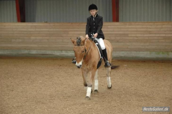 Anden særlig race Bleiki ii; <3  billede 19