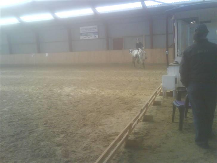 Connemara Nygaards Kisser - Stævne (: billede 15