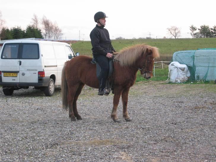 Islænder Askja fra Bomosen - Askja  og Peter billede 3