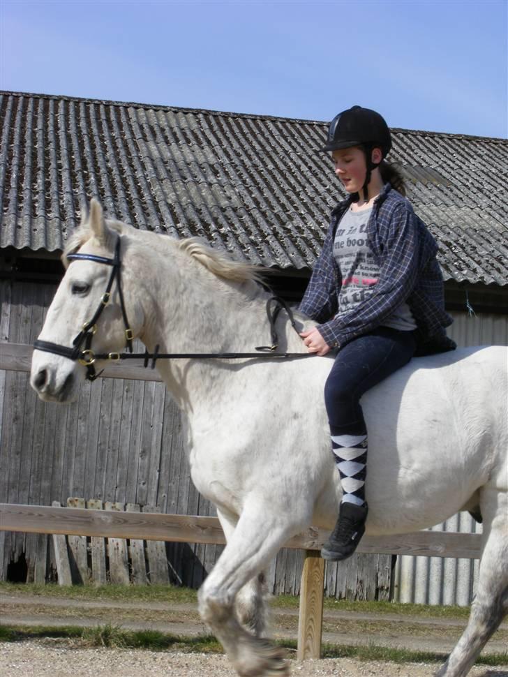 Anden særlig race | Flaks |Soulmate † R.I.P - #10 Ham som lærte mig så meget.. Foto: CNT-Foto billede 10