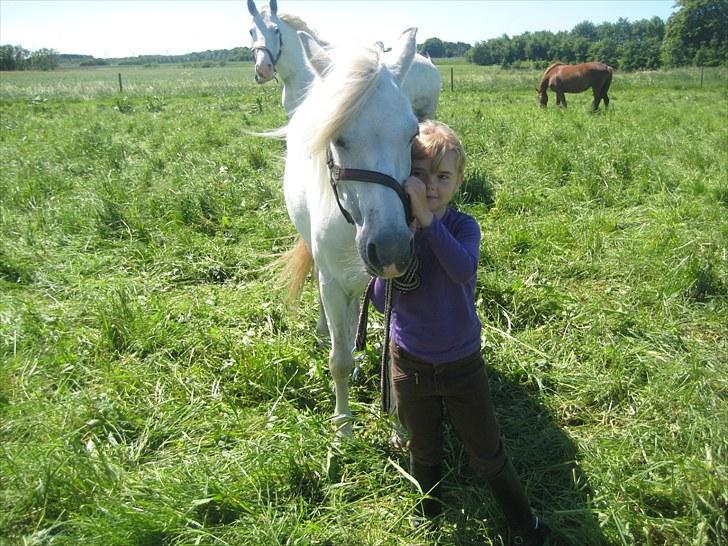 DSP Jessie - Lisa og hendes pony :-) billede 3