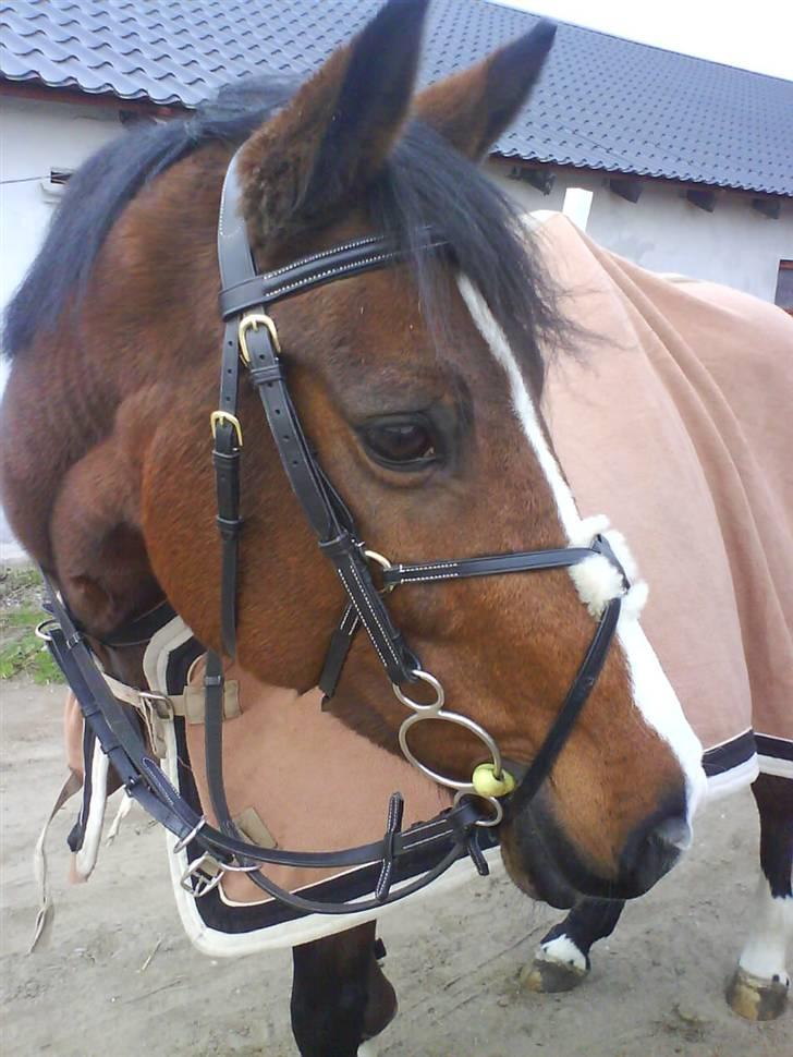 DSP Atlanta (DØD) R.I.P billede 20