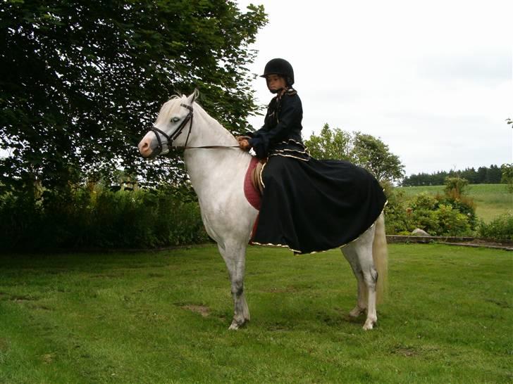 Welsh Pony (sec B) Korreborgs Kawango *MIT LIV* - Min stor-søster og Kawango.(2003) billede 8