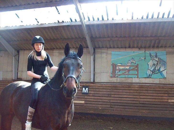 Anden særlig race Laurits (Kegle)   - velkommen til Lauritzs profil...... smid gerne en kommentar og en bedømmelse......xD billede 1