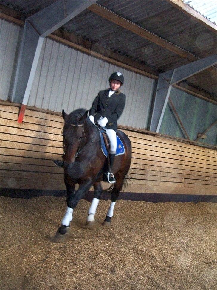 Anden særlig race Laurits (Kegle)   - Mig og Lauritz til dressur stævne sammen ! :) billede 2