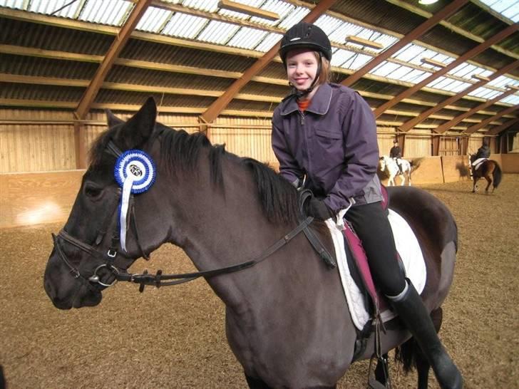 New Forest Black Pepper *elev pony* - En 2. Plads! Foto; Far! billede 19