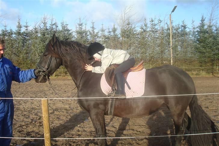 Frieser Femke *solgt :'(* - Min datter prøver Femke for første gang :o) billede 4