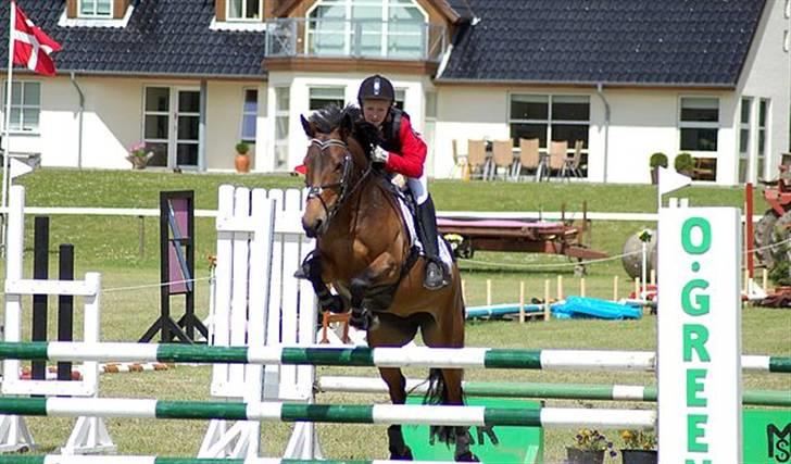 New Forest Miss Jeanette ( solgt )<3 - på morsø ;P LA spring foto: Sanne Kolind billede 6