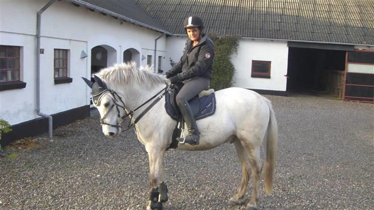 Anden særlig race Mr. Mayson - næsten lige redet til ;) billede 4