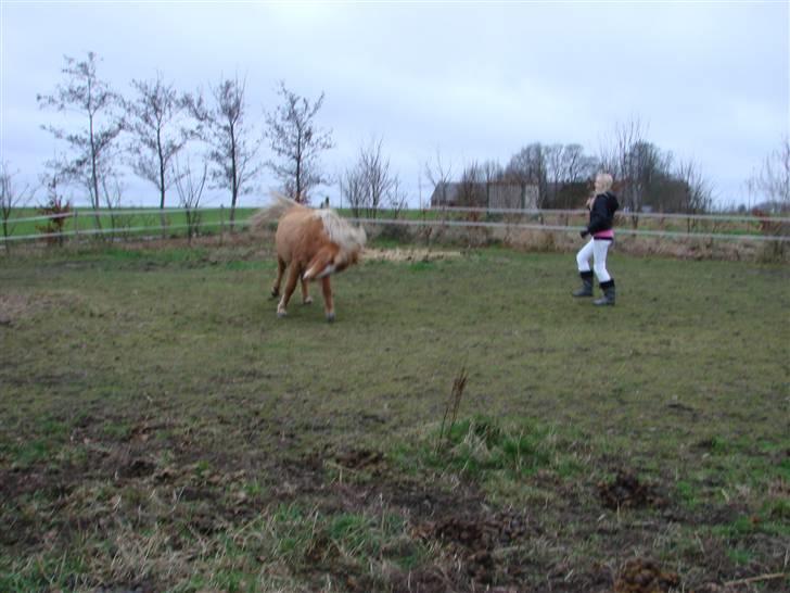 Islænder Sóley - Ska´ vi lege eller noget?? billede 5