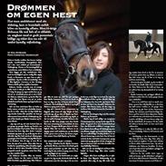 Dansk Varmblod Svanegaardens Dior