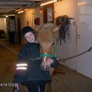 Anden særlig race Frederik/haft halvpart.