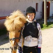Anden særlig race Frederik/haft halvpart.