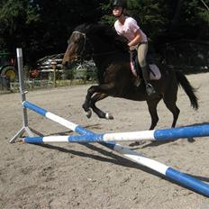 New Forest Fleur - gamle part.