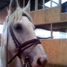 Anden særlig race fantasie