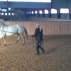 Anden særlig race fantasie