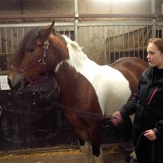 Anden særlig race Nela