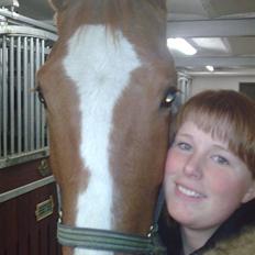 Dansk Varmblod Lillemarkens Acansam