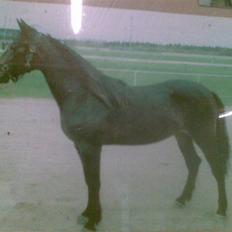 Traver Vanderbilt *helpart*