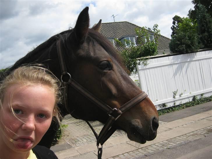 New Forest Fleur - gamle part. - Velkommen til Fleurs profil :D - kig du bare! - Billede af Lauii <3. billede 1