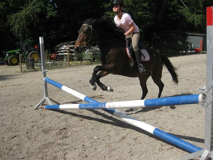 New Forest Fleur - gamle part. - En af de sjældne gange mig og Fleur springer. Billede af LAURA :D billede 3