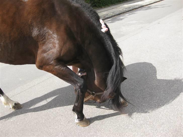 New Forest Fleur - gamle part. - Neje, neje :D  billede 4