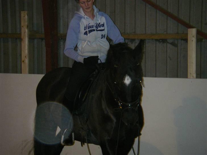 Anden særlig race Kansas Stidsbjerg R.I.P billede 16