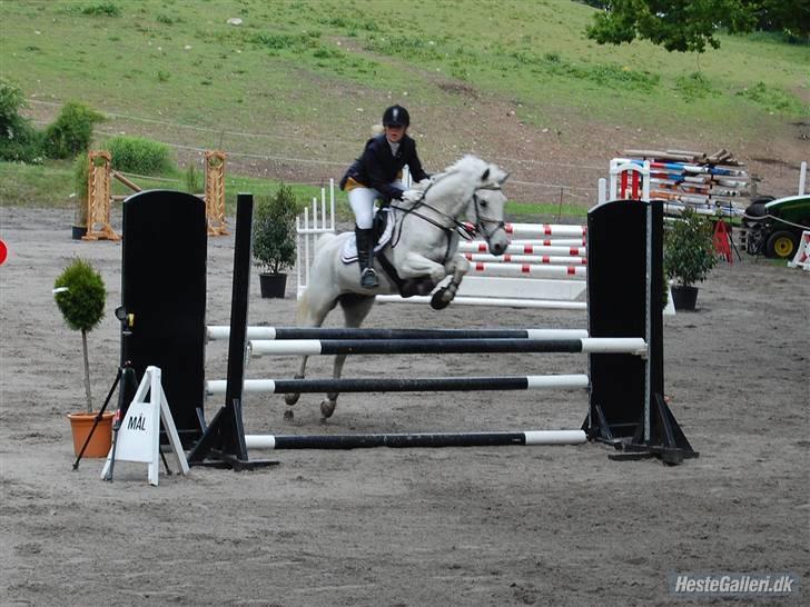 Anden særlig race Guido (solgt) :'( - 16. distriktsstævne egene LB foto: Julie (L). billede 16