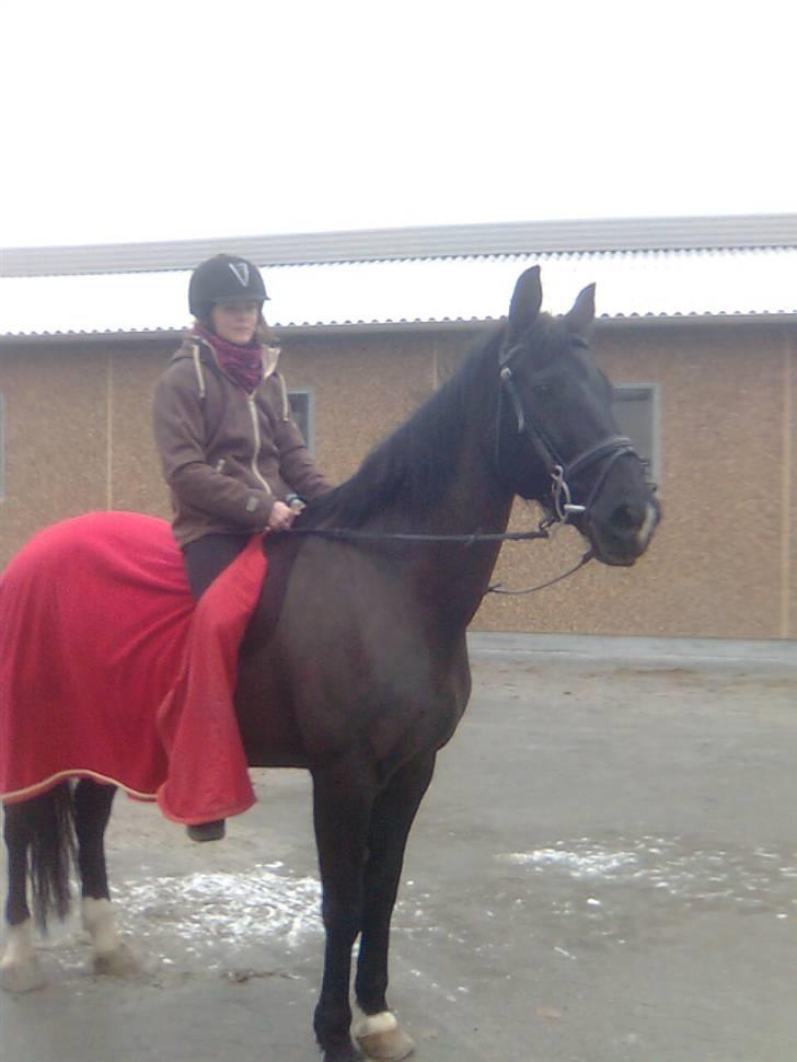 Oldenborg / Dv Malou *passer* R.I.P billede 2