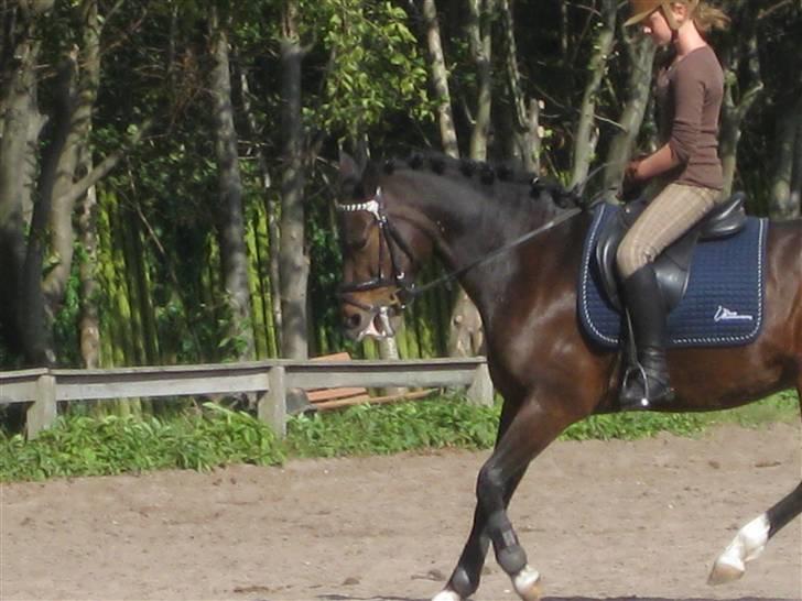 New Forest Fleur - gamle part. - Så køn så køn xD Billede af Manne <3. billede 11