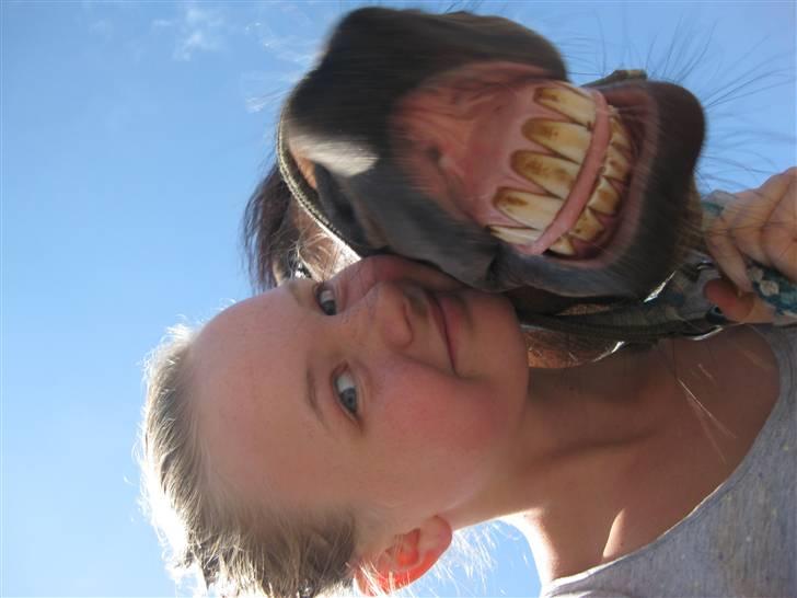 New Forest Fleur - gamle part. - Et billede siger mere end 1000 ord.. - Øh ? xD billede 12