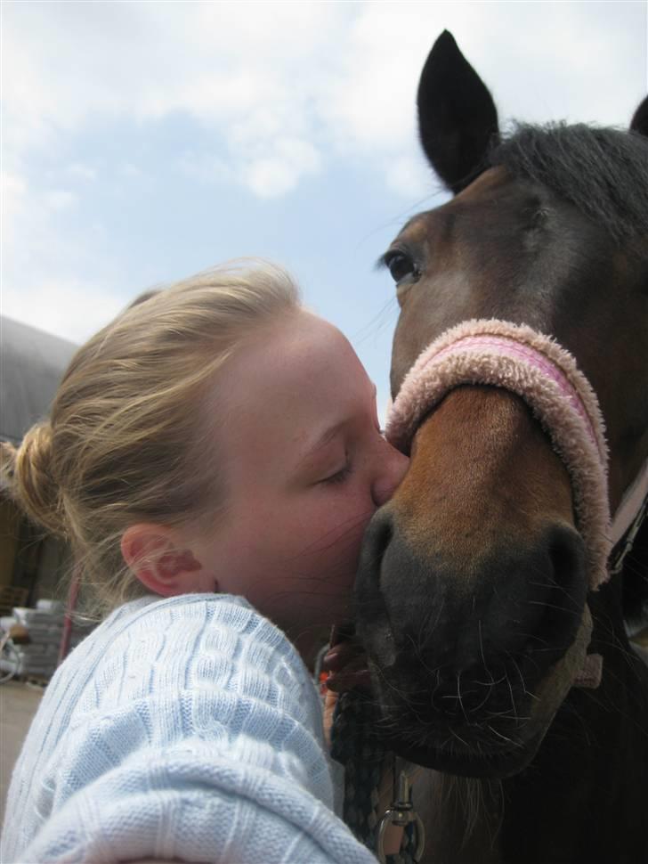 New Forest Fleur - gamle part. - Et møs på mullen :3 billede 14
