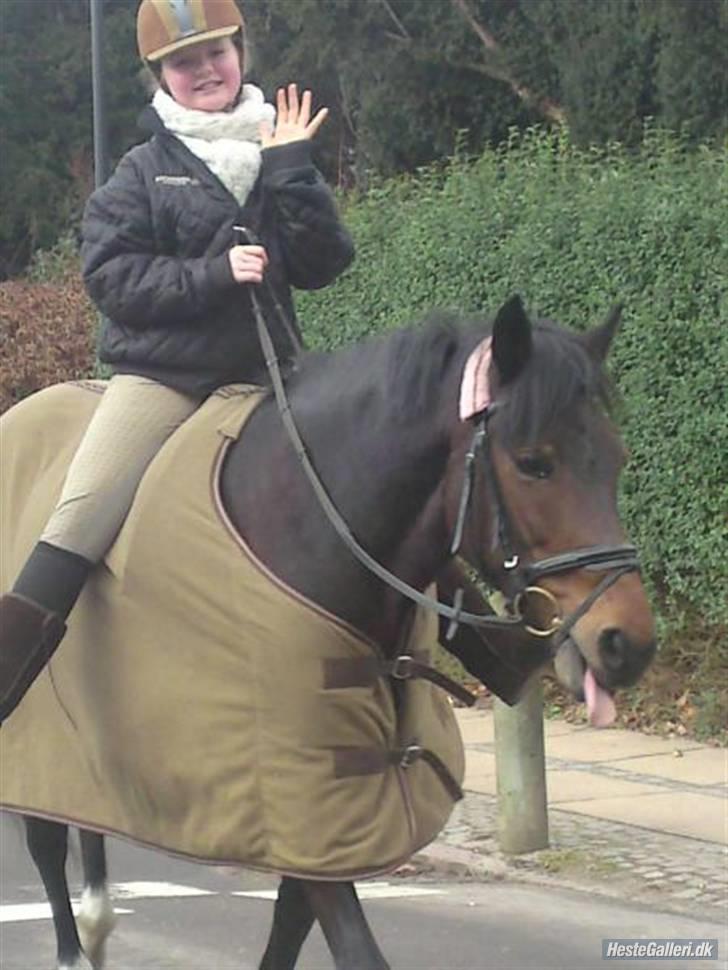 New Forest Fleur - gamle part. - Jeg er lækker :D - Og Fleur rækker tunge xD Billede af Samanta. billede 15