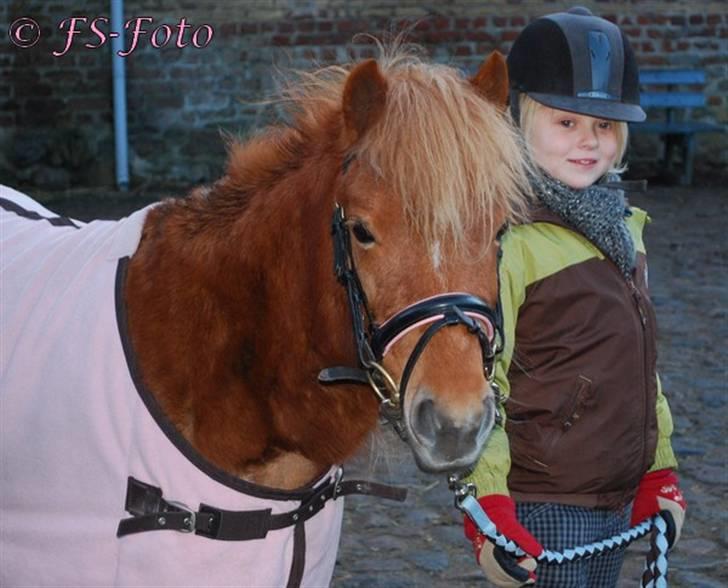 Shetlænder Baronessen A' Borreby. - Nissen & mig <33 Foto: FS-Foto billede 3