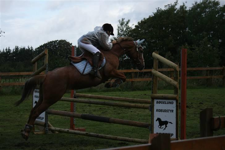 Anden særlig race Sweet Cherry [B-Pony] Aflivet - <33 billede 14