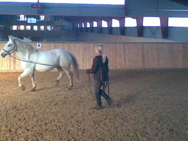 Anden særlig race fantasie - fantasie i longe billede 2