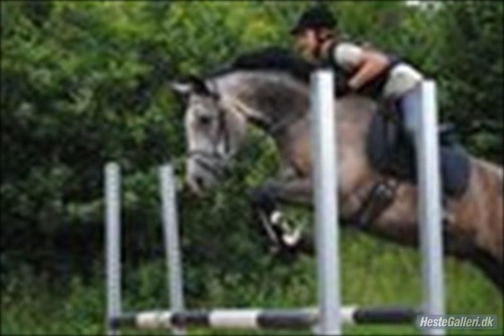 Hollandsk Sportspony Remon solgt :'( & SAVNET! - Remon & jeg springer lige over en bum;) billede 4