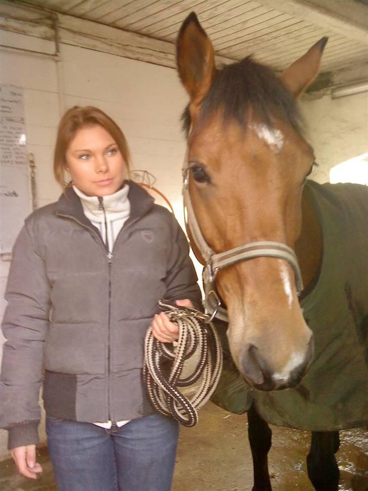 Hollandsk Sportspony Margriet - Solgt - Min dejlige skat lige kommet ind fra fold.  billede 13