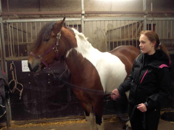 Anden særlig race Nela billede 2