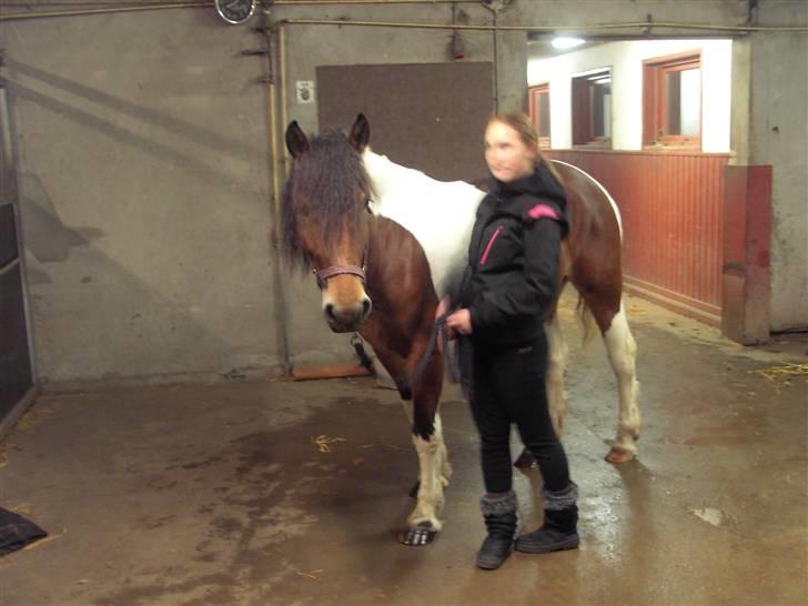 Anden særlig race Nela billede 4